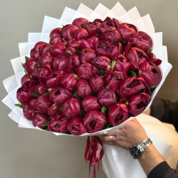 51 бордового пиона